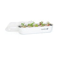 Gardyn Indoor Garden Nursery - Seed Starter Germination Kit | Hydroponic growing system tray, works with Gardyn Home
