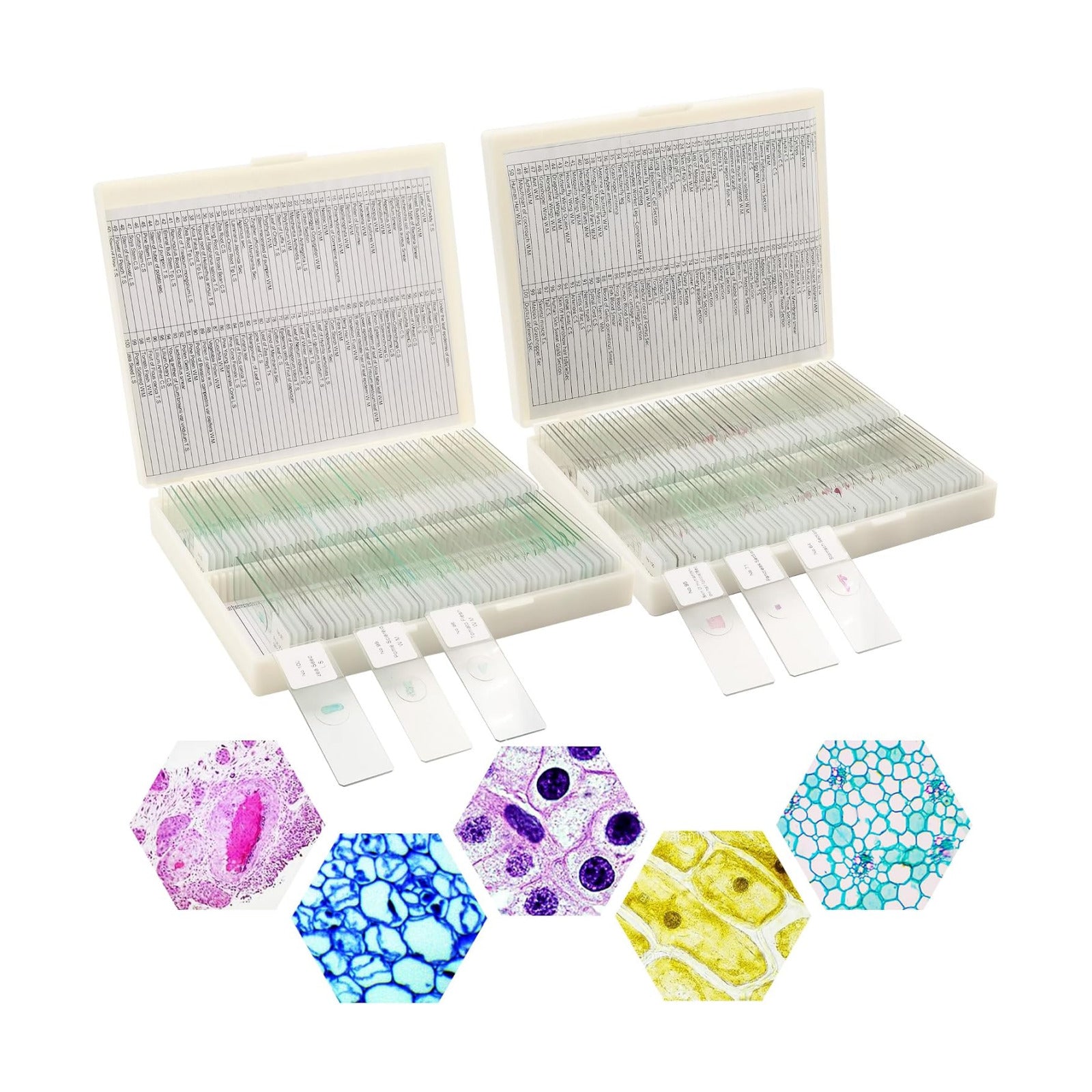 200 Packs Microscope Slides, 100 Plants & 100 Animal Tissues Includes Labels and Case for Biological Science Education