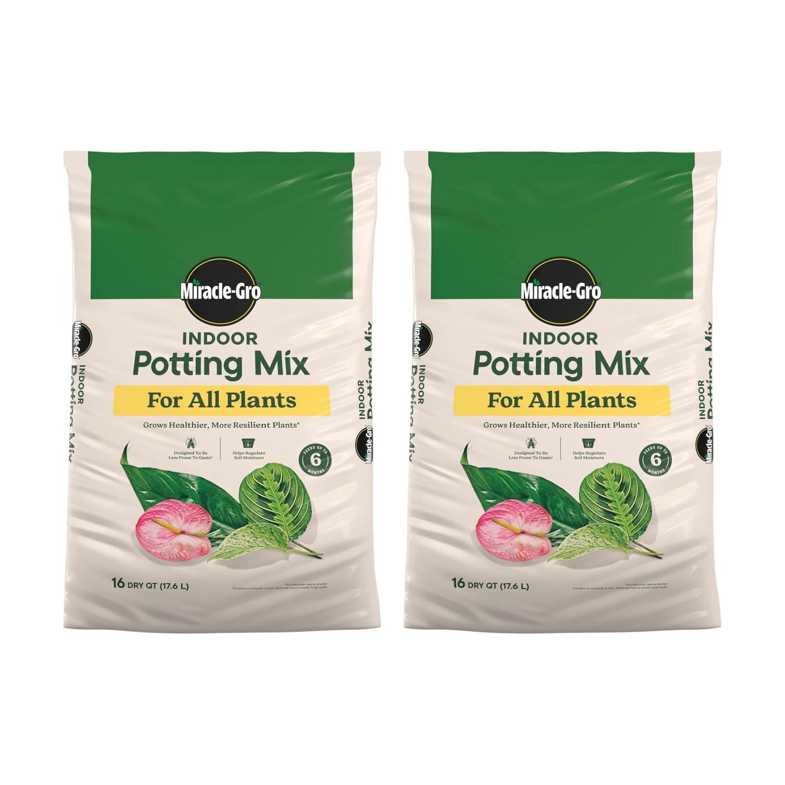 Gro Indoor Potting Mix for All Plants, 16 qt. (2-Pack) | Use with Houseplants and More, Feeds for up to 6 Months