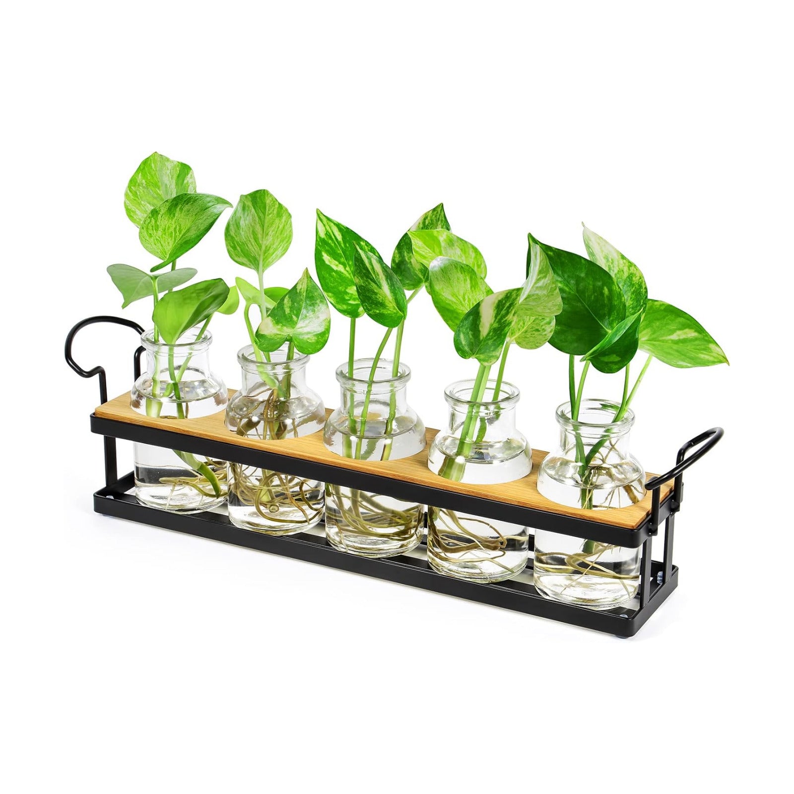 Plant Propagation Station with 5 Glass Jars, Retro Hydroponic Planter Vase | Propagation Jars with Metal Stand, Desktop