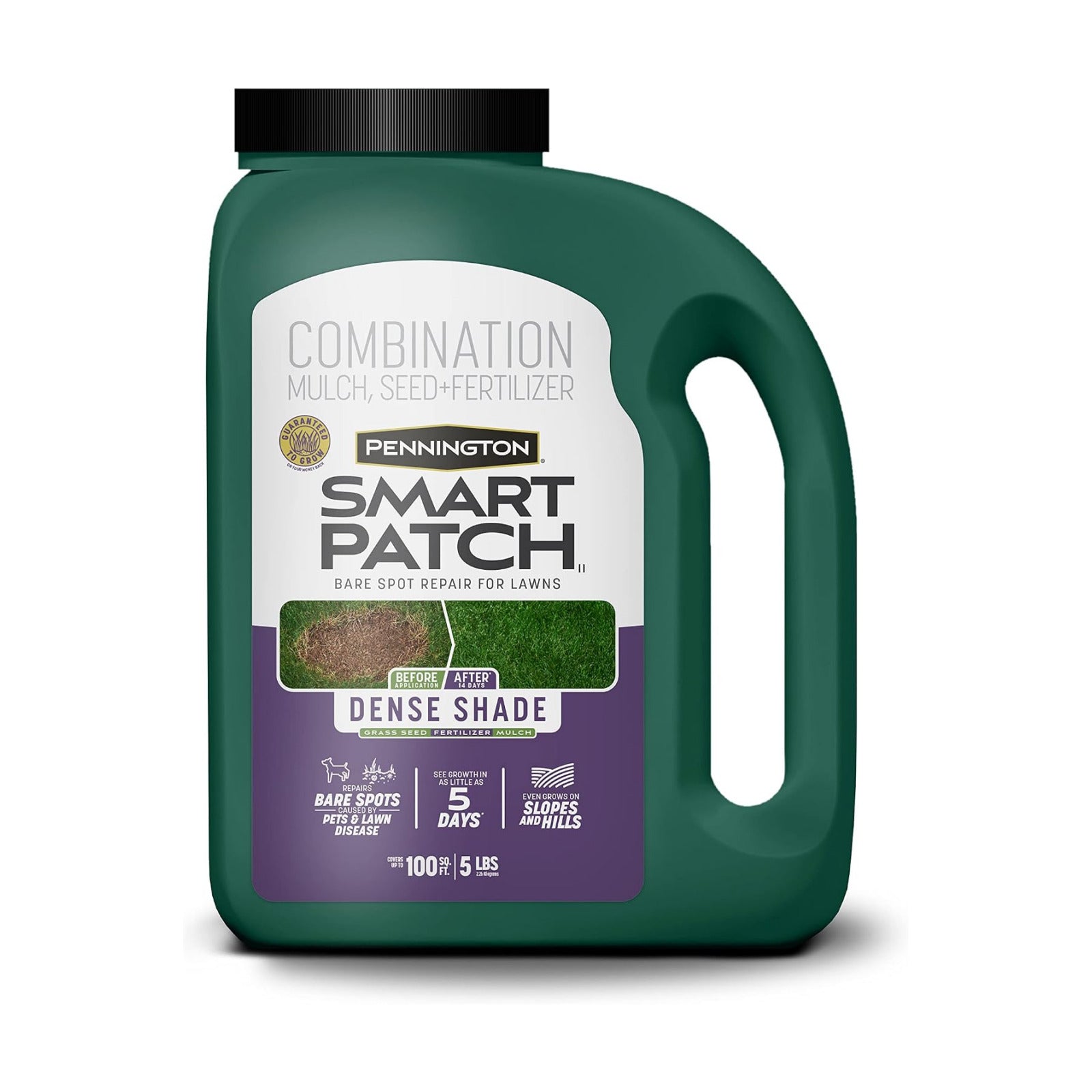 Pennington Smart Patch Dense Shade Grass Seed 5 LB