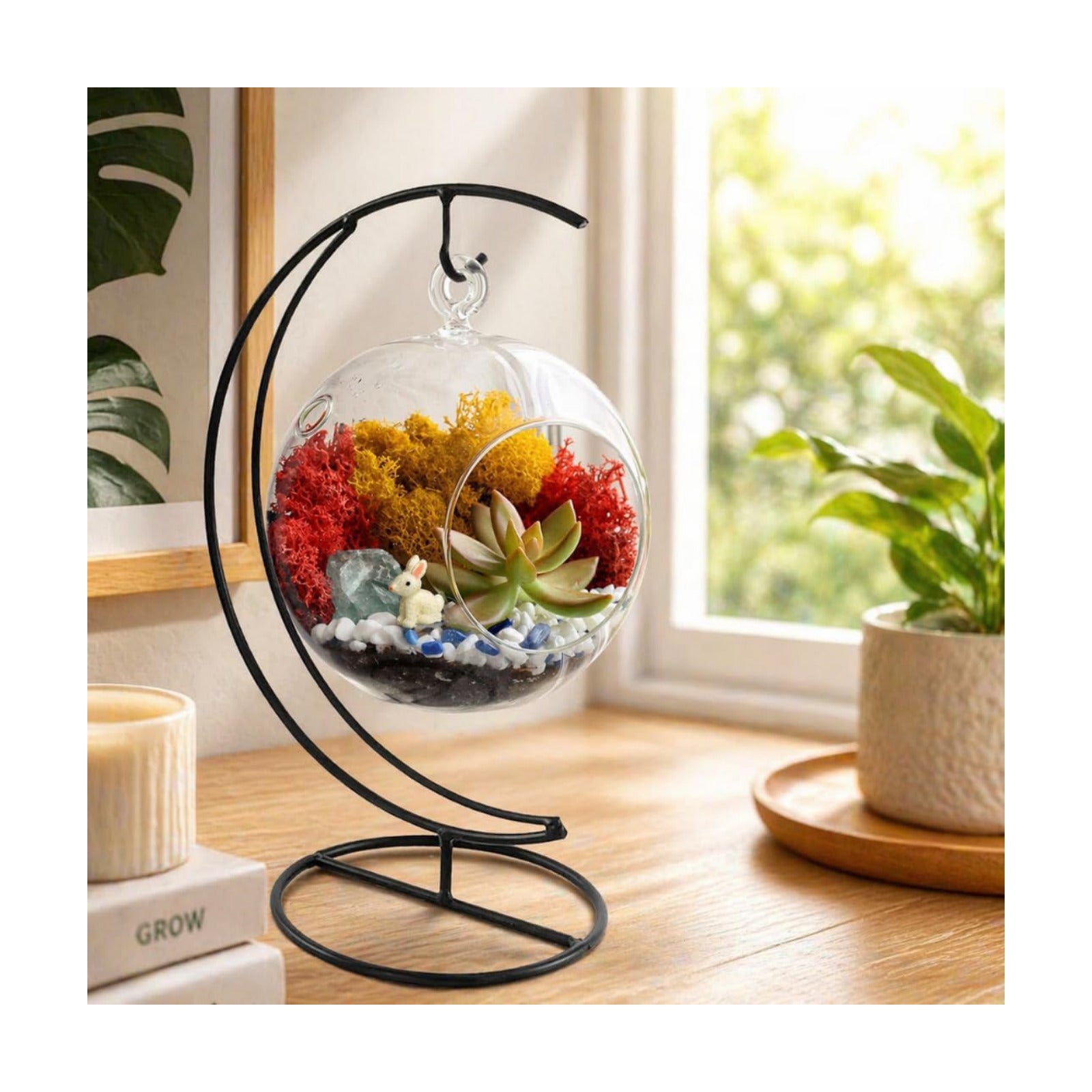 Creations by Nathalie - 5" Glass Globe Succulent Terrarium Kit, Hanging DIY Starter Kit for Kids and Adult, Metal