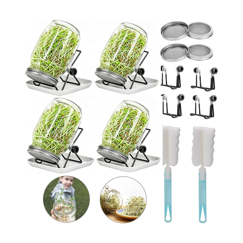 Lulonpon 4 Sprouting Jar Kit, Wide Mouth Quart Mason Jars with Stainless Steel Screen Sprout Lids