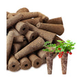 Chumia 200 Pcs Hydroponics Grow Sponges Replacement Root Growth Sponges Pods Kit Seed Starter Pods for Hydroponics