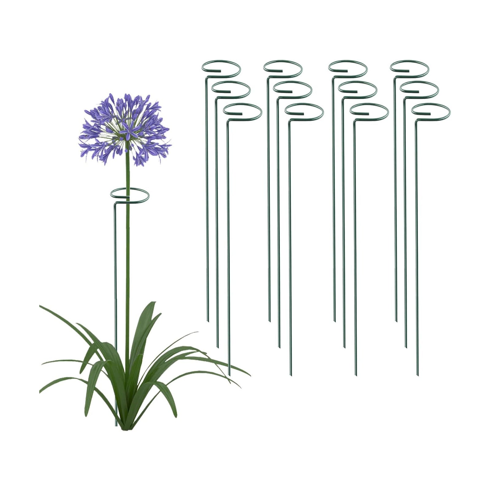 24 Inch 20 Packs Plant Support Stakes, Garden Single stemmed Plant Support Hoops Plant Prop for Flowers Orchid Tomatoes