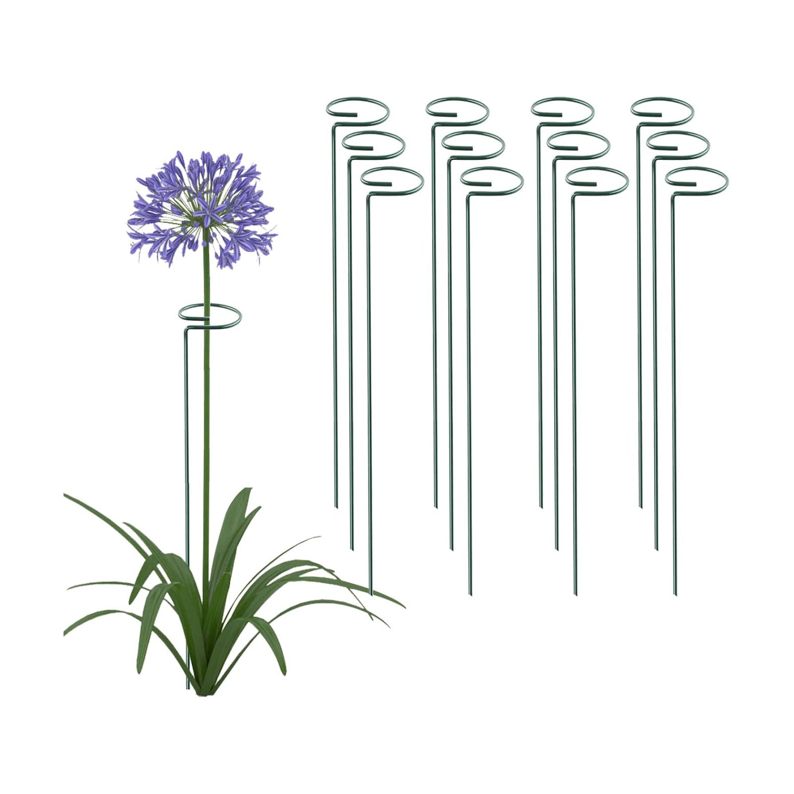 18 Inch 20 Packs Plant Support Stake Garden Single stemmed Plant Support Hoops Plant Prop for Flowers Orchid Tomatoes