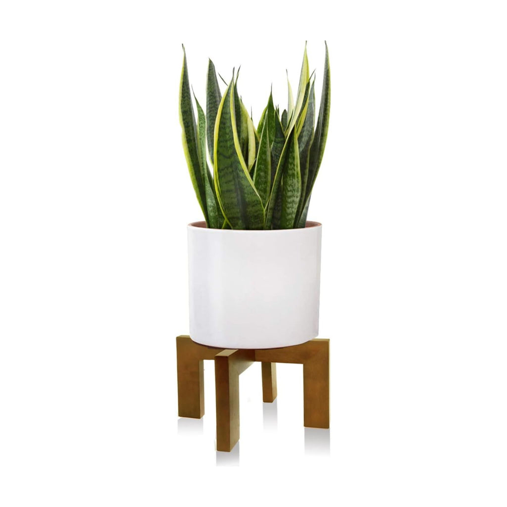 Wood Plant Stand, Mid Century Modern Planter Stand Rattan Flower Pot Stand, Low Short Plant Stands Indoor - Boho Rustic Wooden Stool for Plant Pot Holder, Fit 5-15 Inch Pot