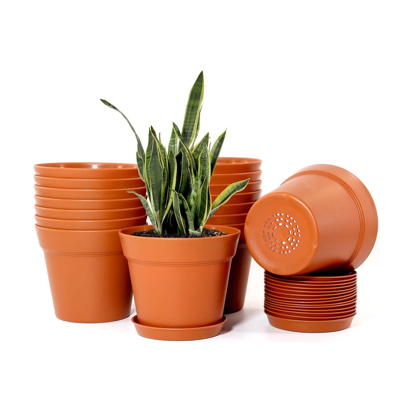 WOUSIWER 16 Pack 6 inch Plastic Planters, Plastic Indoor Planter Flower Pots, Heavy Duty and Stylish 6 Inch Plant Pots