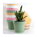 WOUSIWER 16 Pack 6 inch Plastic Planters, Indoor Flower Pots, Heavy Duty and Stylish 6 Inch Plant Pots for Indoor