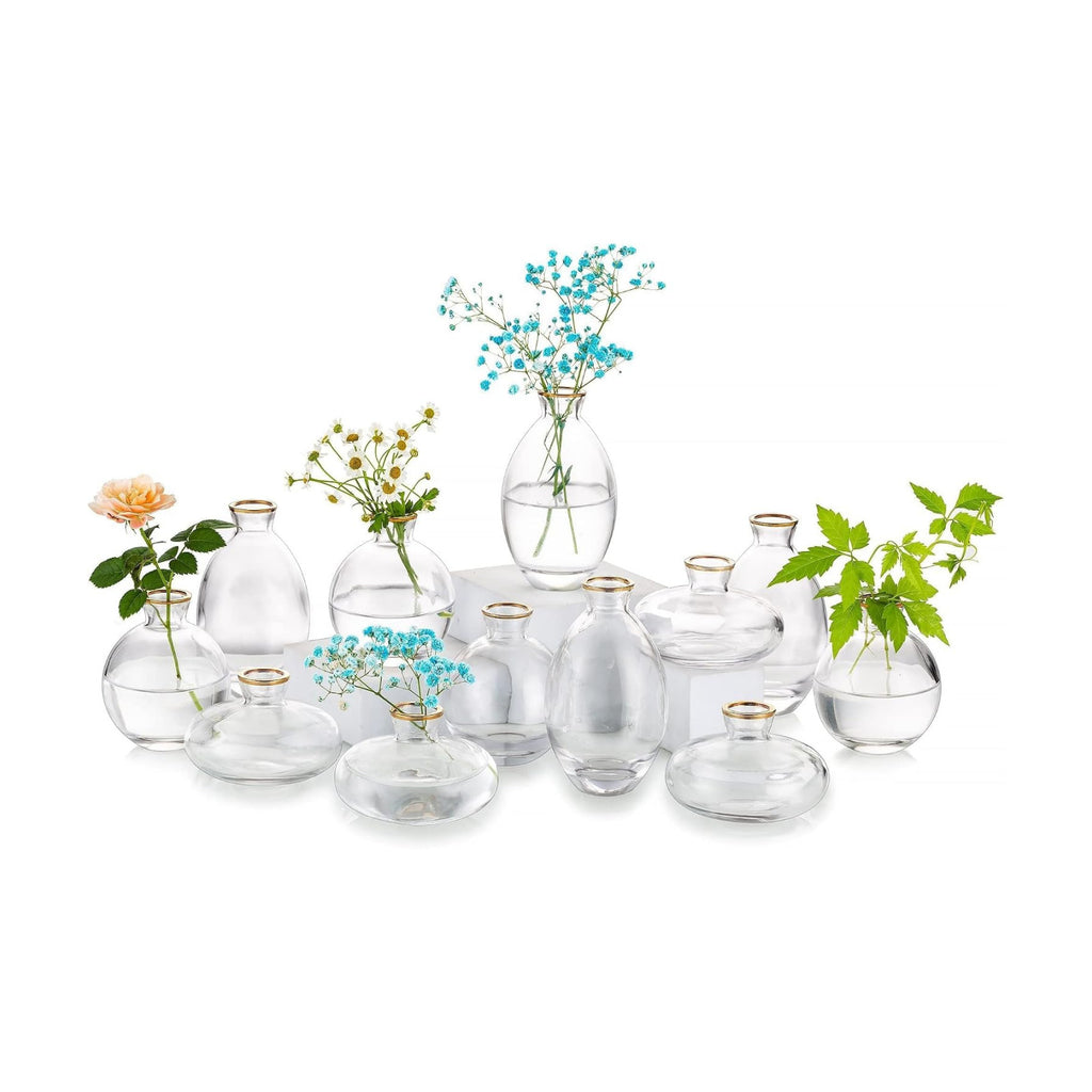 Glasseam Glass Bud Vase for Centerpieces: 12Pcs Clear Mini Small Vases Bulk