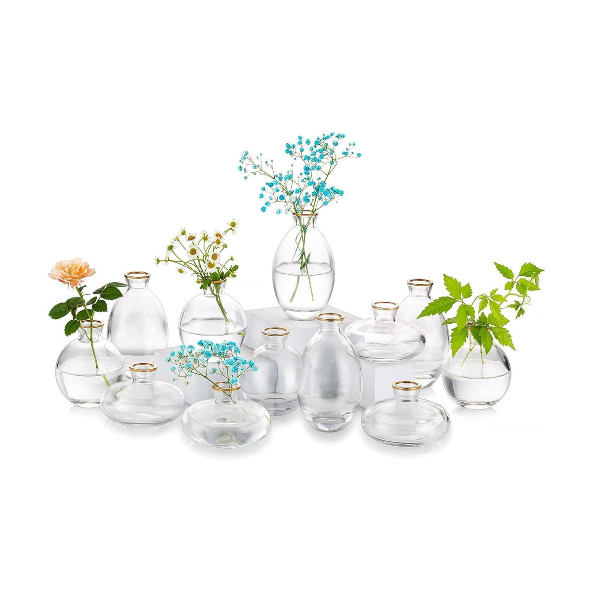 Glasseam Glass Bud Vase for Centerpieces: 12Pcs Clear Mini Small Vases Bulk