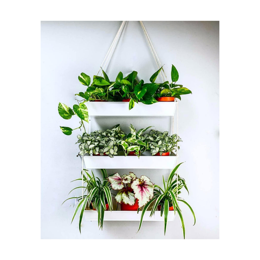 LaLaGreen Boho Wall Planter (16 in, 3 Tier) White Succulent Herb Garden | Modern nordic farmhouse decor, indoor hanging