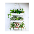 LaLaGreen Boho Wall Planter (16 in, 3 Tier) White Succulent Herb Garden | Modern nordic farmhouse decor, indoor hanging