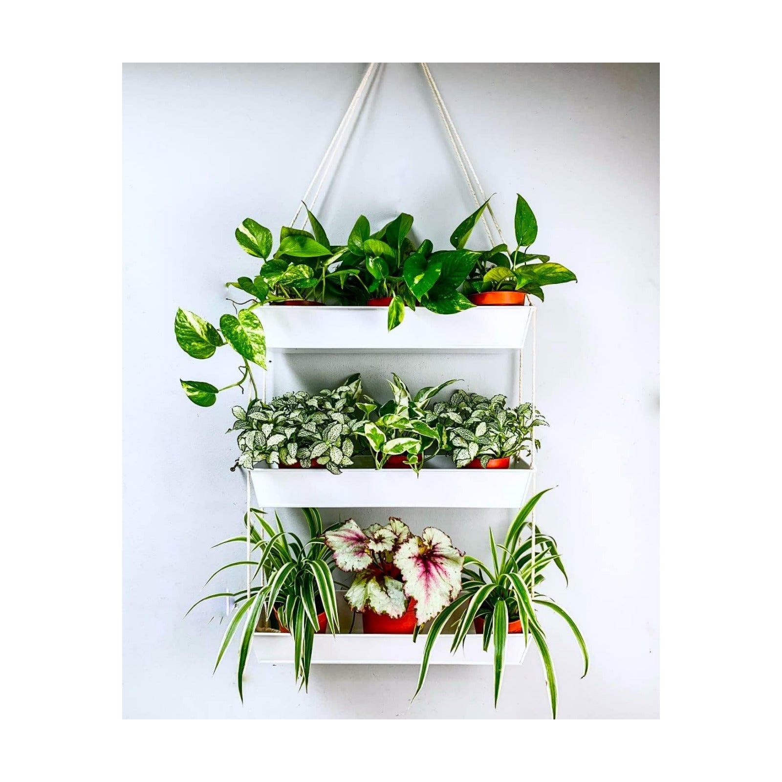 LaLaGreen Boho Wall Planter (16 in, 3 Tier) White Succulent Herb Garden | Modern nordic farmhouse decor, indoor hanging
