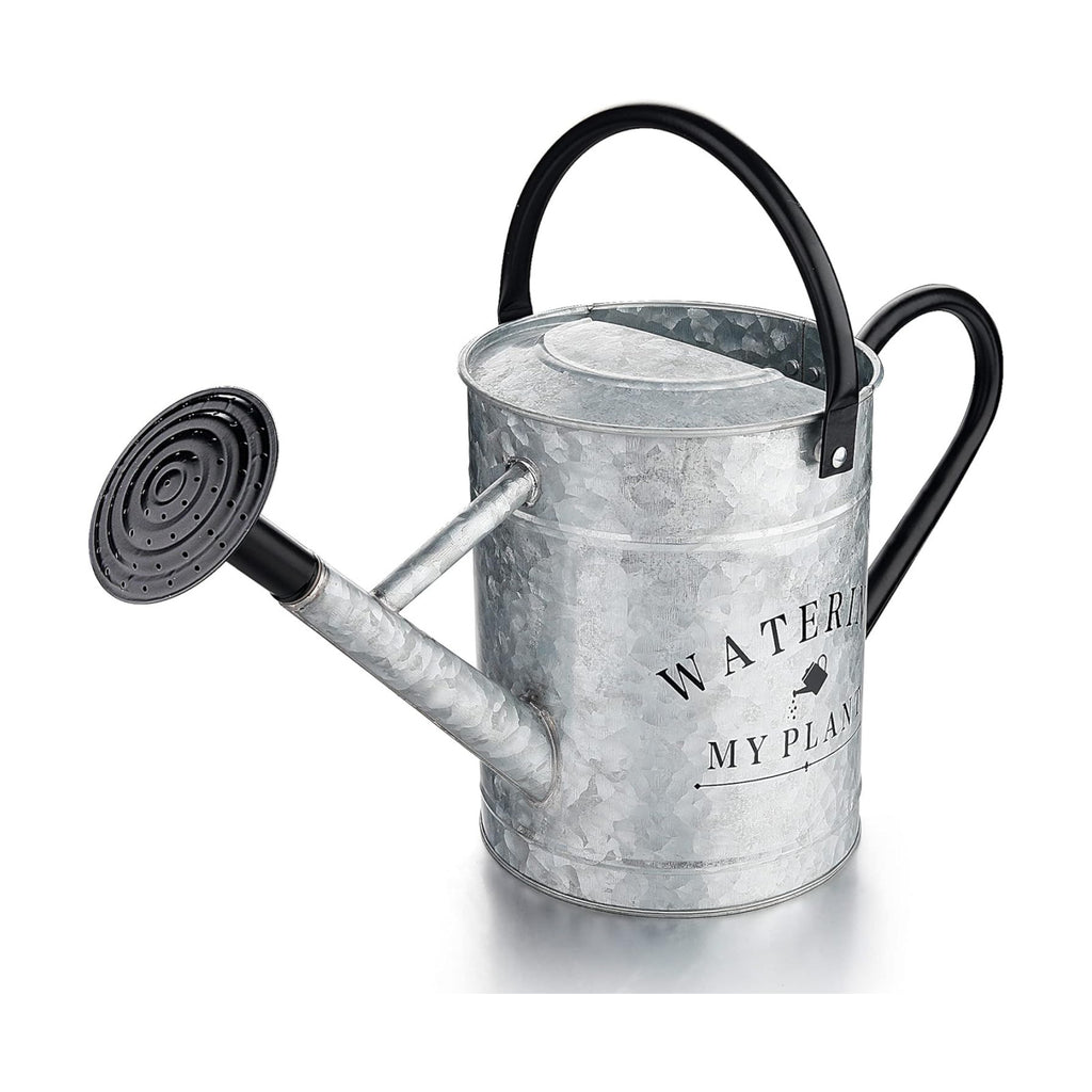 Garutom Galvanized Watering Can for Outdoor Indoor Plants, 1 Gallon Decorative Countryside Style Water Can with