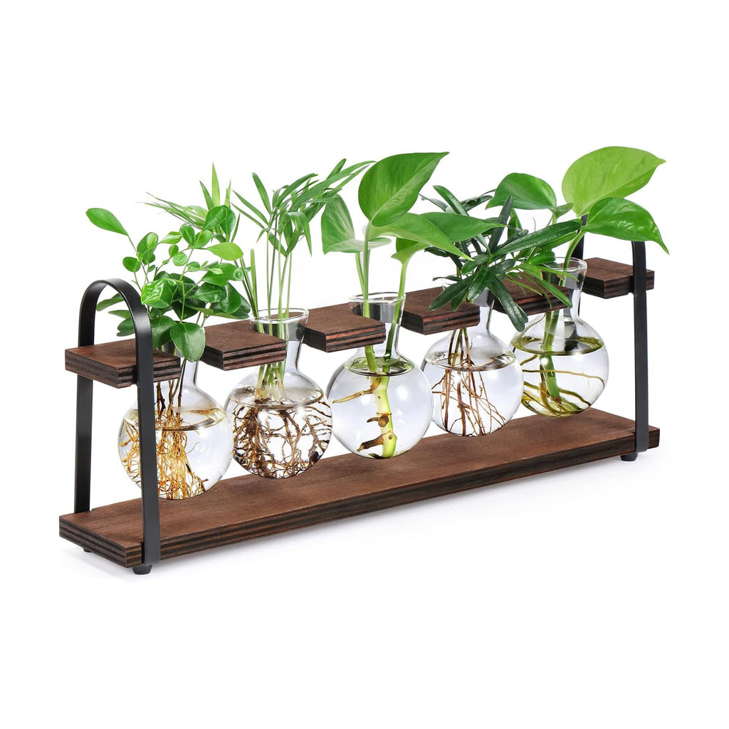 THYGIFTREE Plant Propagation Stations with Wooden Stand | Desktop Retro Plant Terrarium, Bulb Vase for Indoor