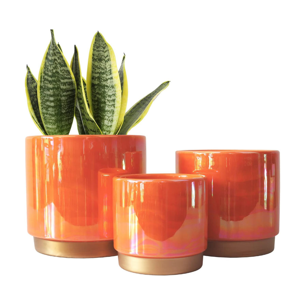 Gepege Ceramic Plant Pots for Indoor Plants, Planters with Drainage Holes | Ceramic Pots with Removable Rubber