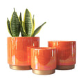 Gepege Ceramic Plant Pots for Indoor Plants, Planters with Drainage Holes | Ceramic Pots with Removable Rubber
