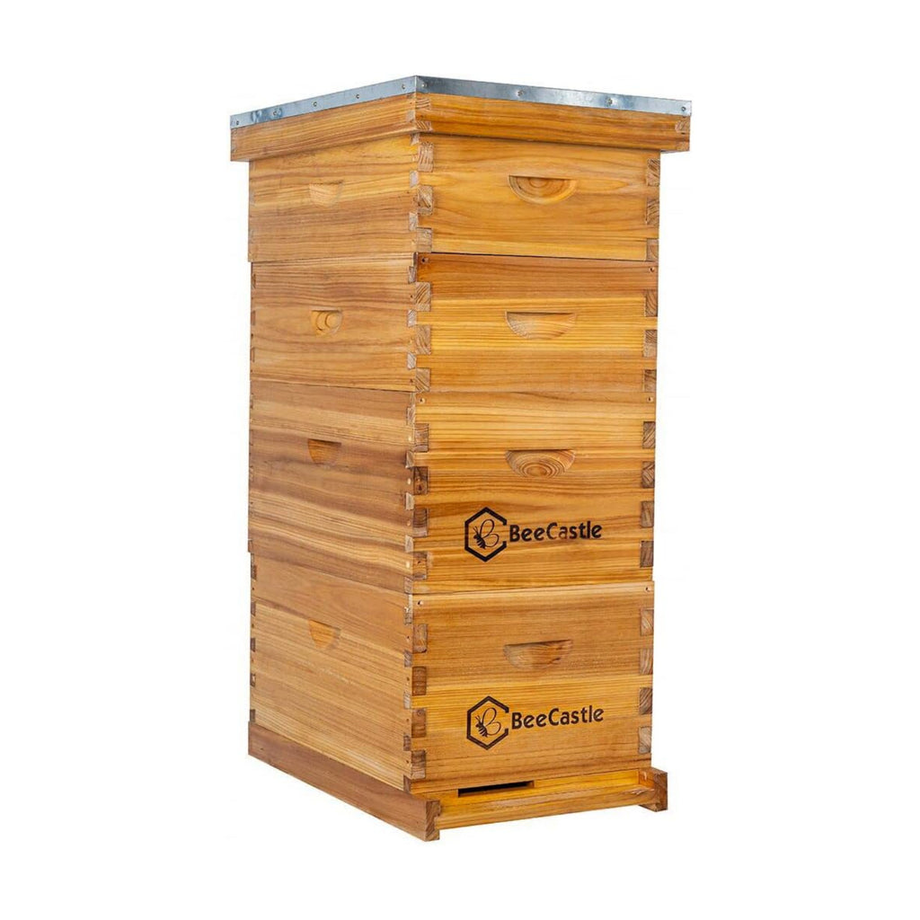 BeeCastle 8 Frame Langstroth Bee Hive Coated with Beeswax Includes Beehive Frames and Waxed Foundations (2 Deep Boxes &
