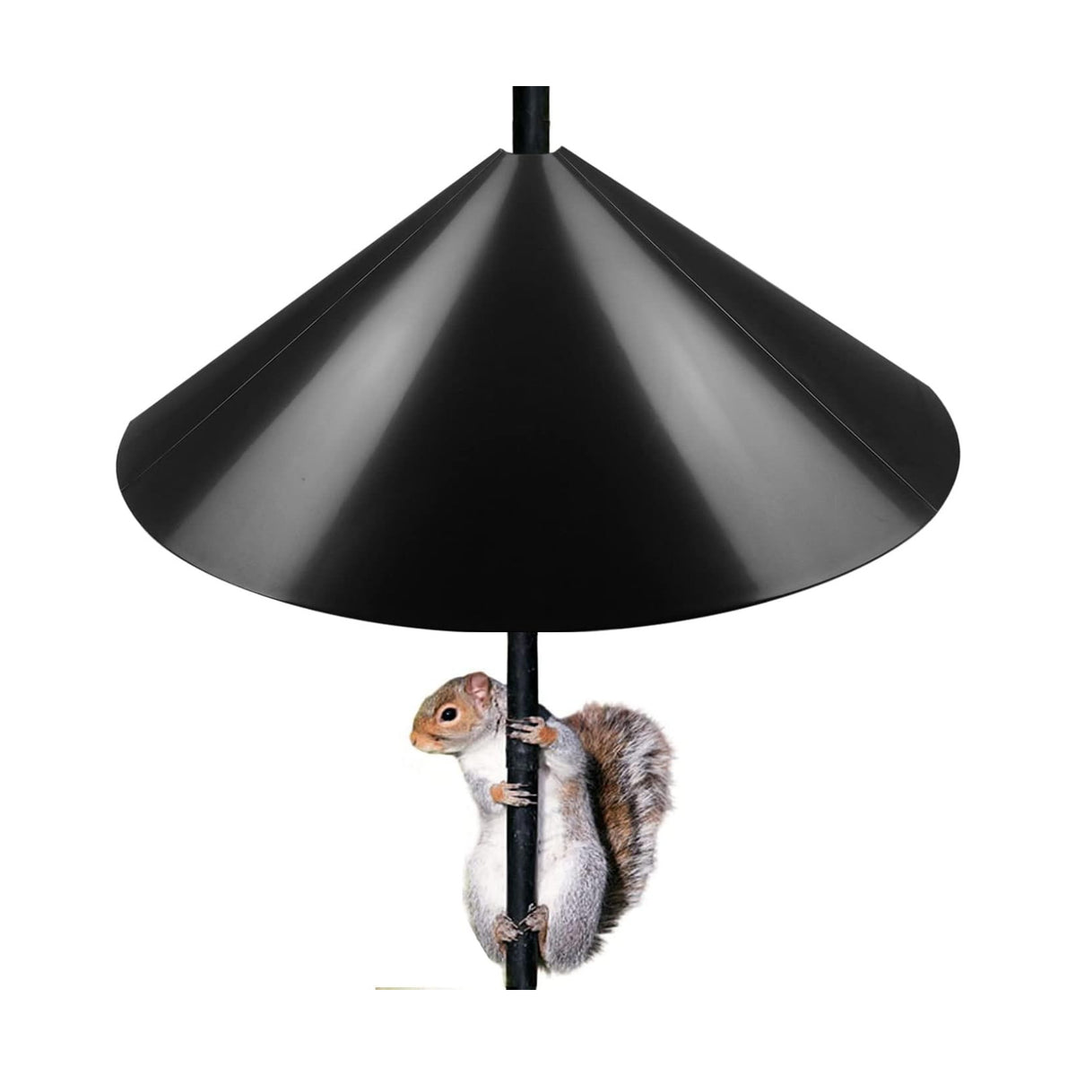 Queension Squirrel Proof Baffle, 19-inch Wide Squirrel Guard Stopper for Outdoor Bird Feeder Poles or Outside Shepherd Hooks, Save Bird Houses from Squirrels, Raccoons, and Rodents, Black, 1 Pack…