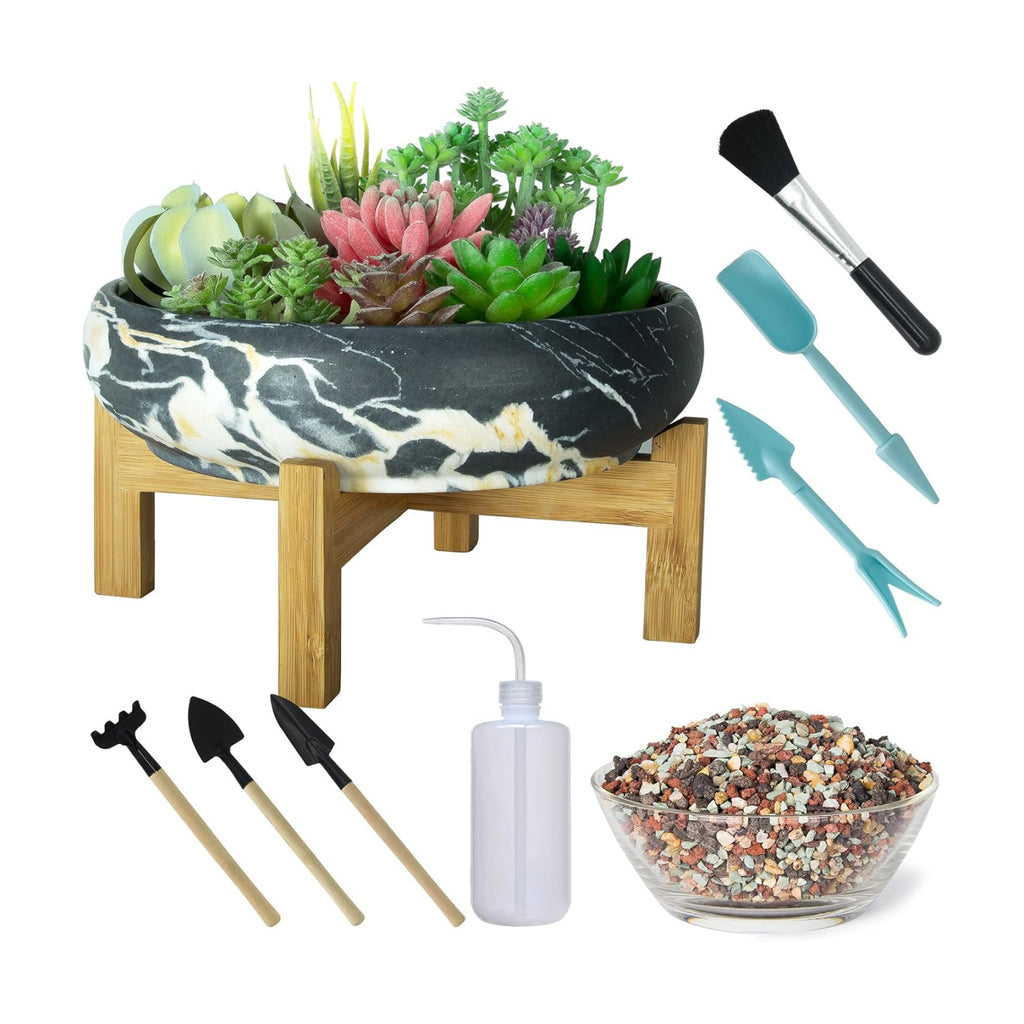 ARTKETTY Succulent Pots, 10 Inch Large Bonsai Pots with Drainage Stand | Shallow Planters for Cactus Flower Plants Plus