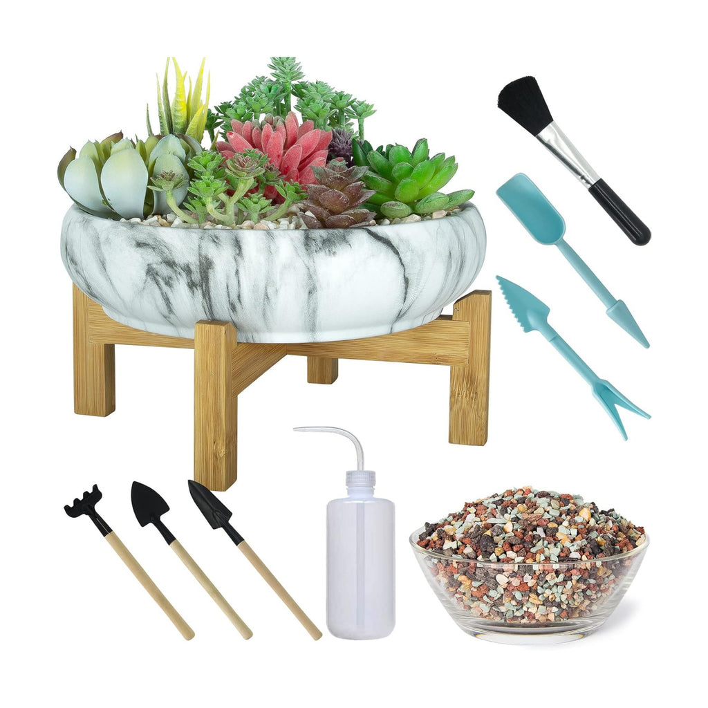 Succulent Pots, 10 Inch Large Bonsai Pots with Drainage, Ceramic Planters | Shallow Pots for Cactus Flower Plants Plus