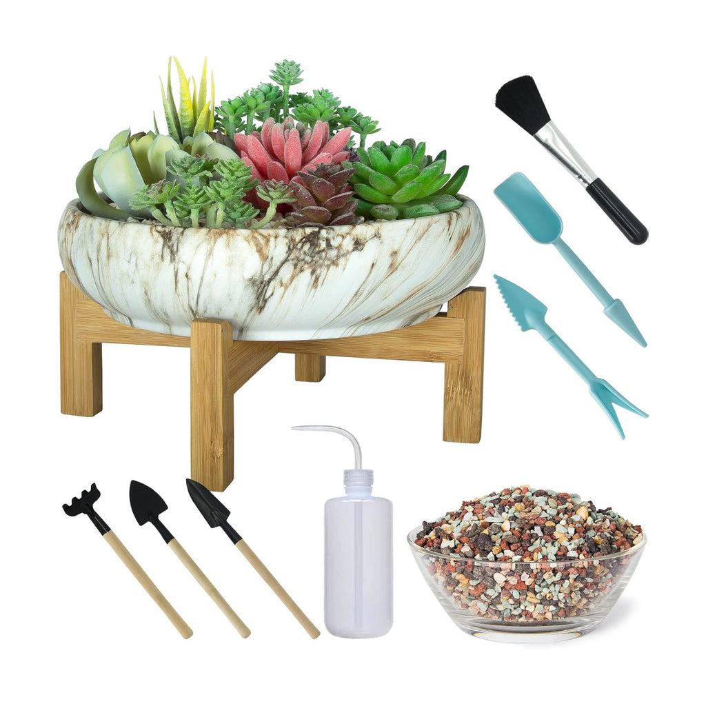 ARTKETTY Succulent Pots with Drainage, 10 Inch Ceramic Bonsai Pots | Large Plant Pots with 2.2lb Mix Pebbles, Planting