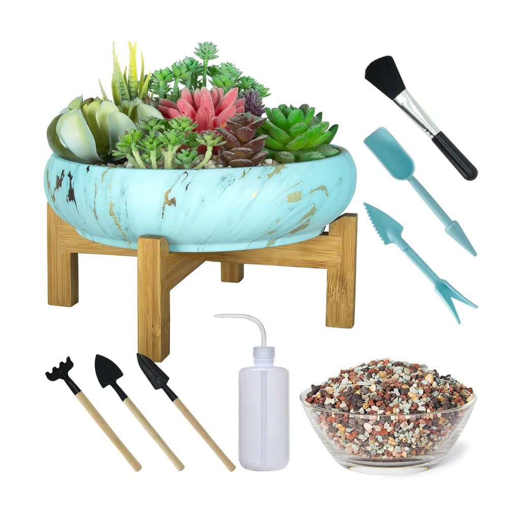 Succulent Pots, 10 Inch Ceramic Bonsai Pots with Drainage, Shallow Planters | Large Pots for Cactus Flower Plants Plus