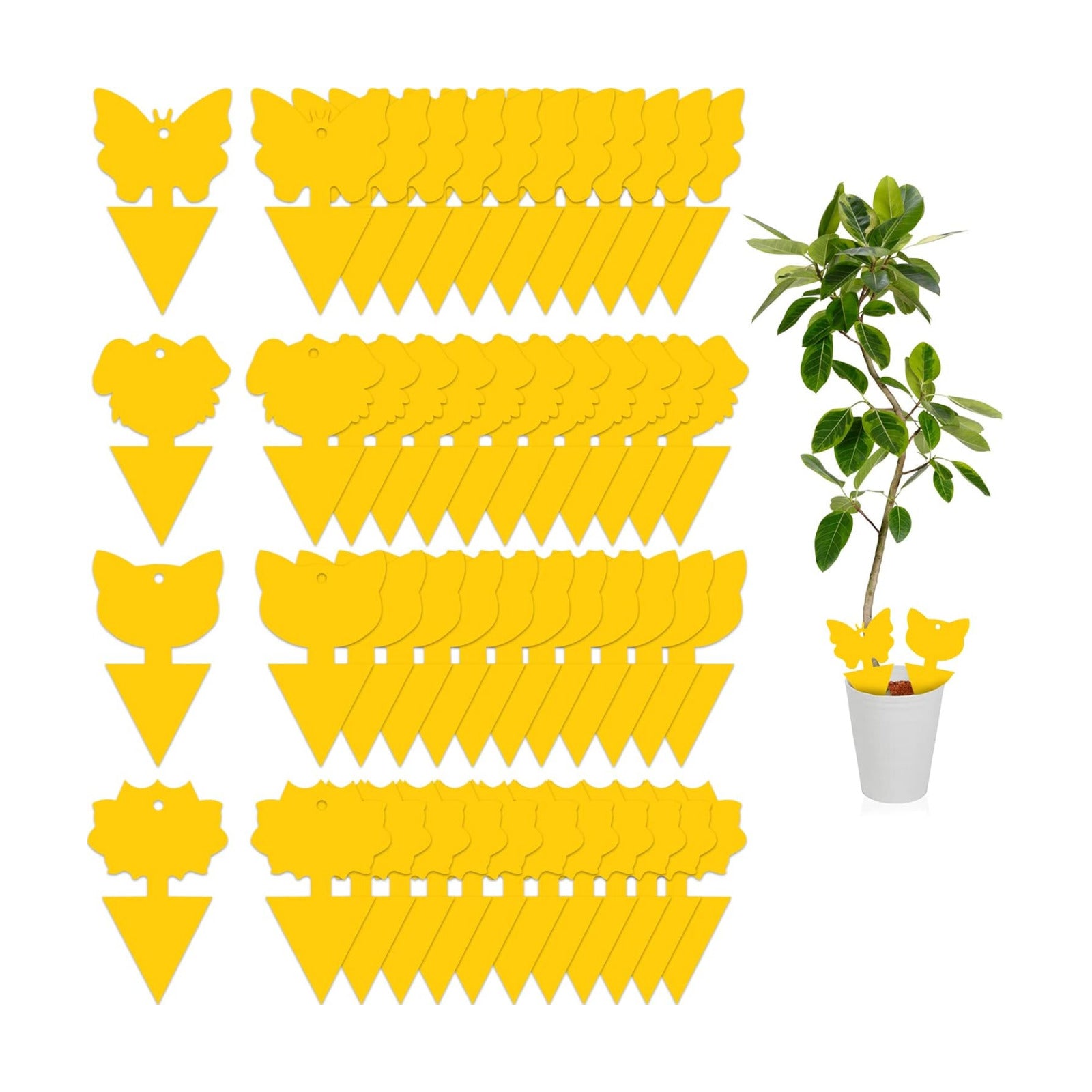Yellow Sticky Traps for Gnats Fungus Fruit Fly Traps for Indoors Bug Thrip Catcher for Whitefly,Fungus Gnat,Mosquito