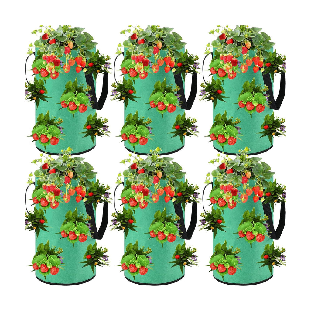 Boao 6 Pieces 3 Gallon Tomato and Herb Planter Hanging Aeration Fabric Strawberry Grow Bags Hanging Strawberry Planter