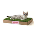 Kitty Lawn Real Grass Cat Lounger & Bed - Natural Grass Pad for Cats 24x9 | USA-grown real grass lounging pad for