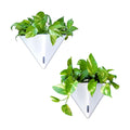 LaLaGreen Wall Planters for Indoor Plants (12in, 2 Pack) White Planter | Large Self Watering Geometric Hanging Flower