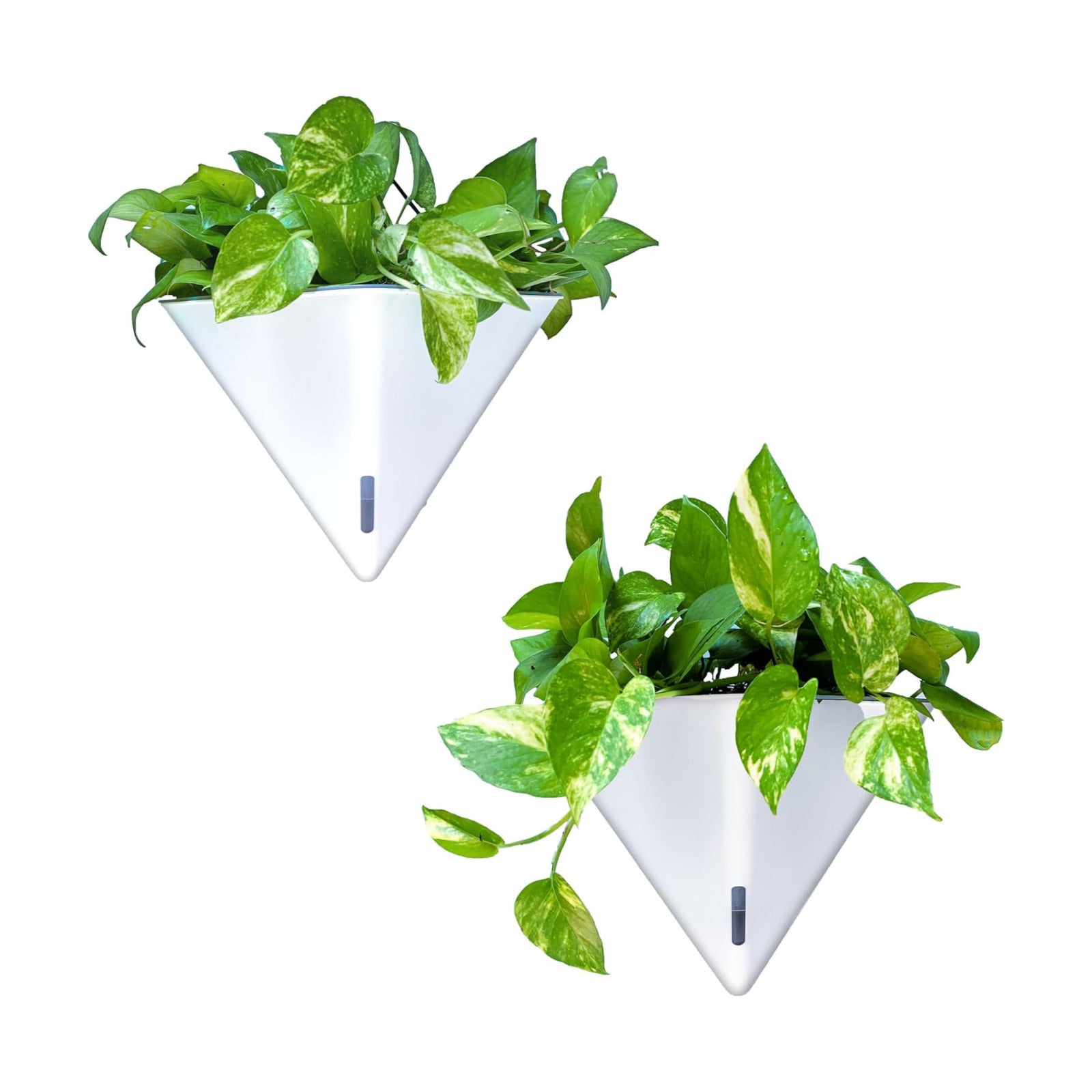 LaLaGreen Wall Planters for Indoor Plants (12in, 2 Pack) White Planter | Large Self Watering Geometric Hanging Flower