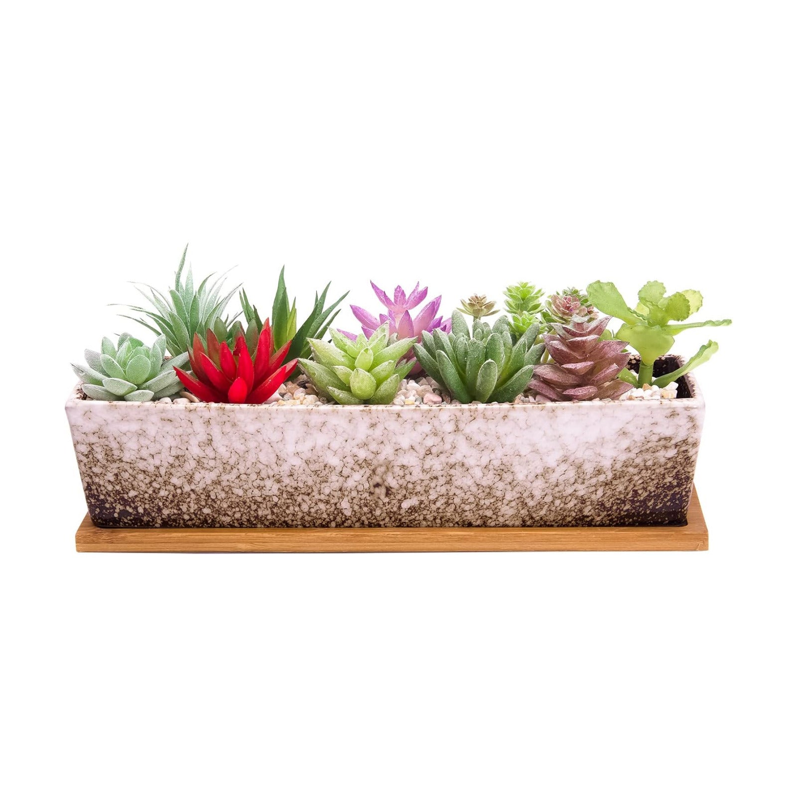 Succulent Pots - Large Succulent Planter Pots with Drainage, 12 Inch Long Rectangle Bonsai Pot with Bamboo Tray Shallow
