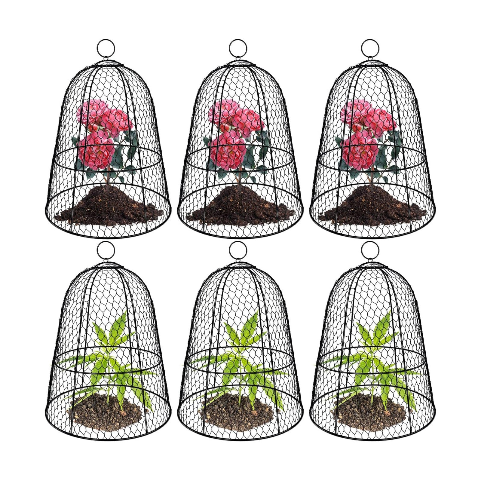 6 Pack Garden Chicken Wire Cloche,19" x 14" Large Plant Protector Cover for Keeping Squirrels,Rabbits,Bunny Chickens