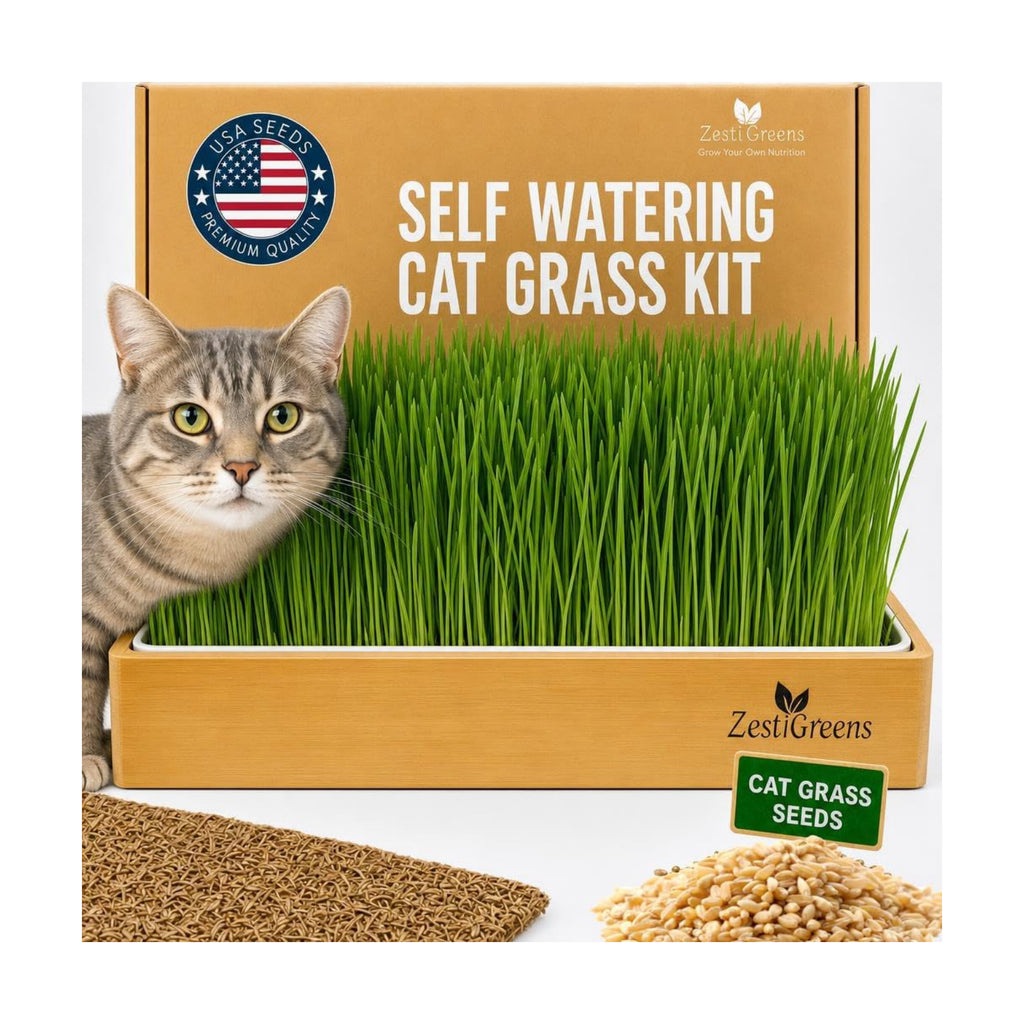 Cat Grass for Indoor Cats - Self-Watering Cat Grass Planter Kit | Reusable no-soil self-watering planter grows fresh