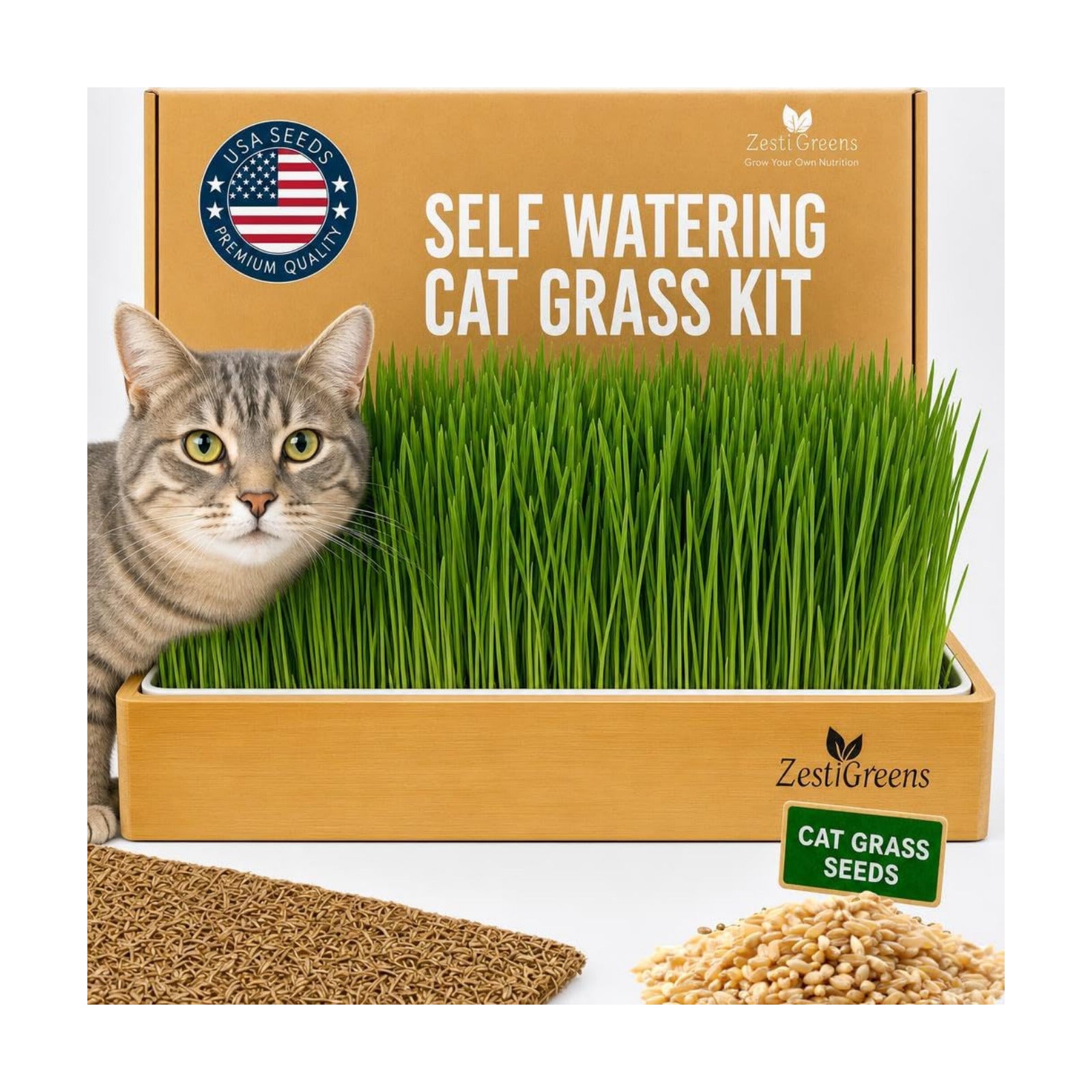 Cat Grass for Indoor Cats - Self-Watering Cat Grass Planter Kit | Reusable no-soil self-watering planter grows fresh