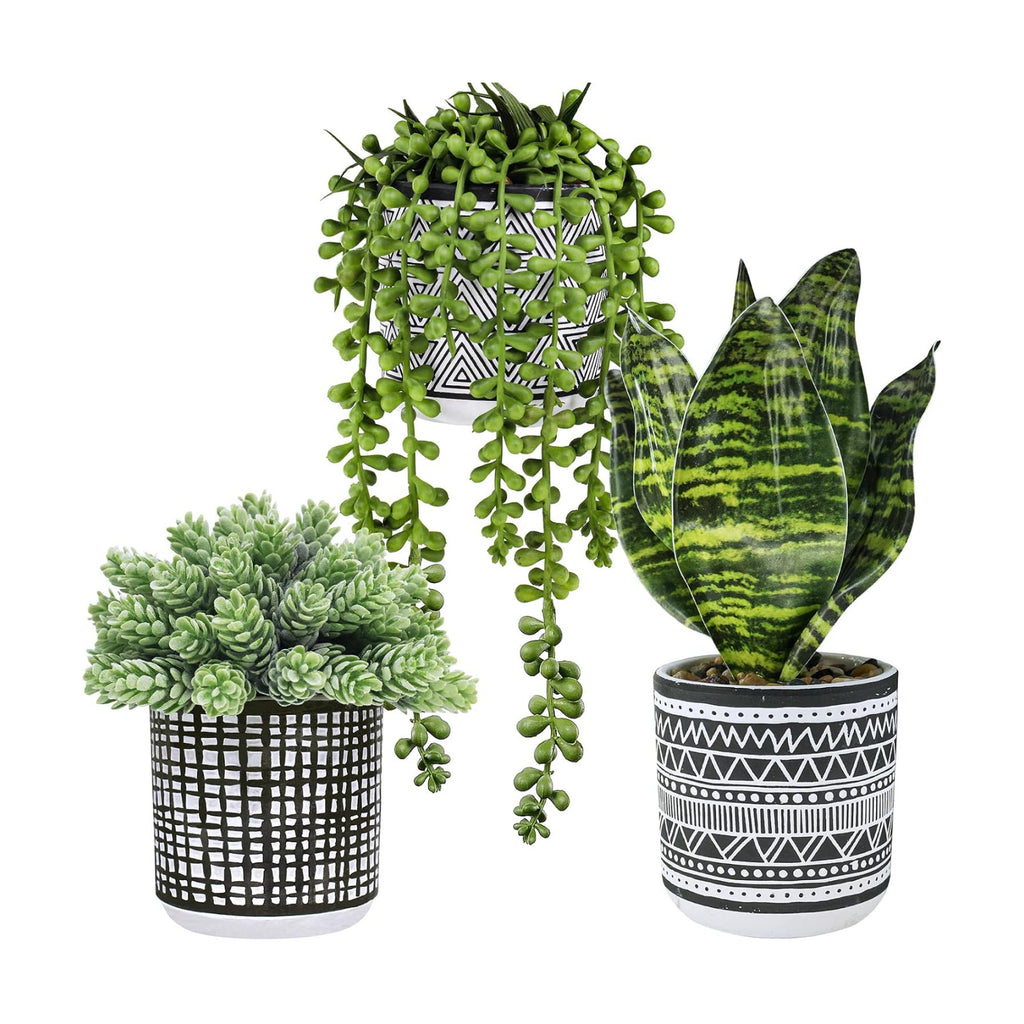 Winlyn 3 Pcs Small Potted Plants Artificial Succulents Hanging Plants and Faux Tropical Snake Plant in Black Geometric