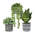 Winlyn 3 Pcs Small Potted Plants Artificial Succulents Hanging Plants and Faux Tropical Snake Plant in Black Geometric