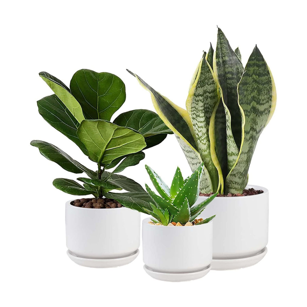 Ceramic Plant Pots with Drainage Hole and Saucer,Modern Indoor Pots for Plants,Ceramic Planter 4.3/5.3/6.7 inchs Set of