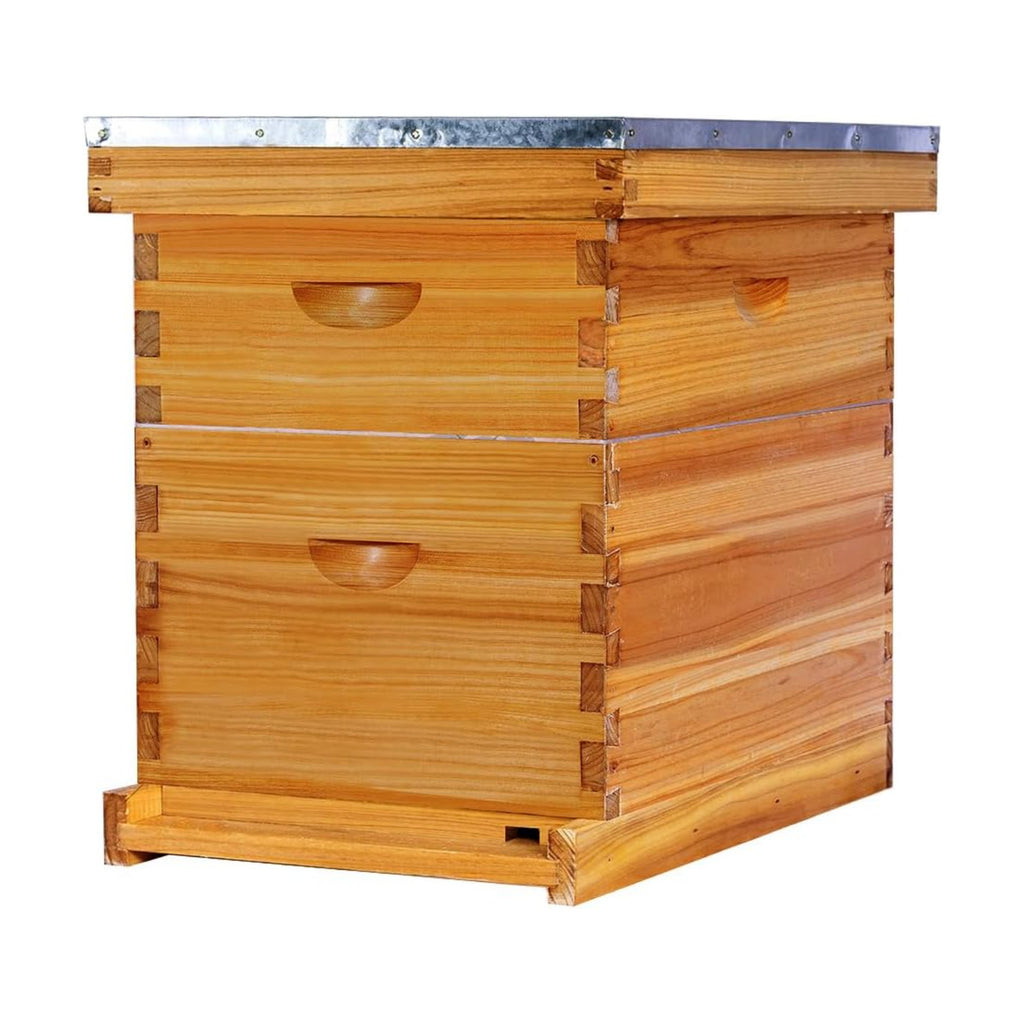 POLLIBEE 8 Frame Beehive Beeswax Coated Langstroth Bee Hives Include 1 Deep Boxes and 1 Medium Bee Box with Beehive
