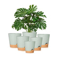 Plant Pots 8/7/6.5/6/5.5/5 Inch Self Watering Planters with Drainage Hole, Plastic Flower Pots, Nursery Planting Pot