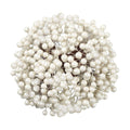 BBTO Artificial Holly Berries on Wire Stems, 250 Stems with 500 Pieces 8 mm Fake Berries for Christmas Tree Decorations Wreath Craft Use Wedding Party Favor (White)