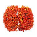 BBTO Artificial Holly Berries on Wire Stems, 250 Stems with 500 Pieces 8 mm Fake Berries for Christmas Tree Decorations Wreath Craft Use Wedding Party Favor (Yellow, Red)