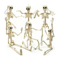 6PCS Skeleton Halloween Decorations, 16in Full Body Poseable Small Skeleton