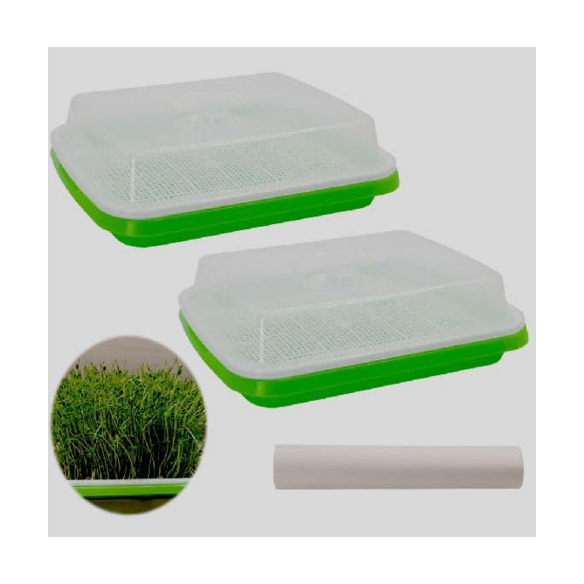 Seed Sprouter Tray 2PCS Soil-Free Wheatgrass Grower Sprouting Container with Lid 20CPS Germinating Growing Paper