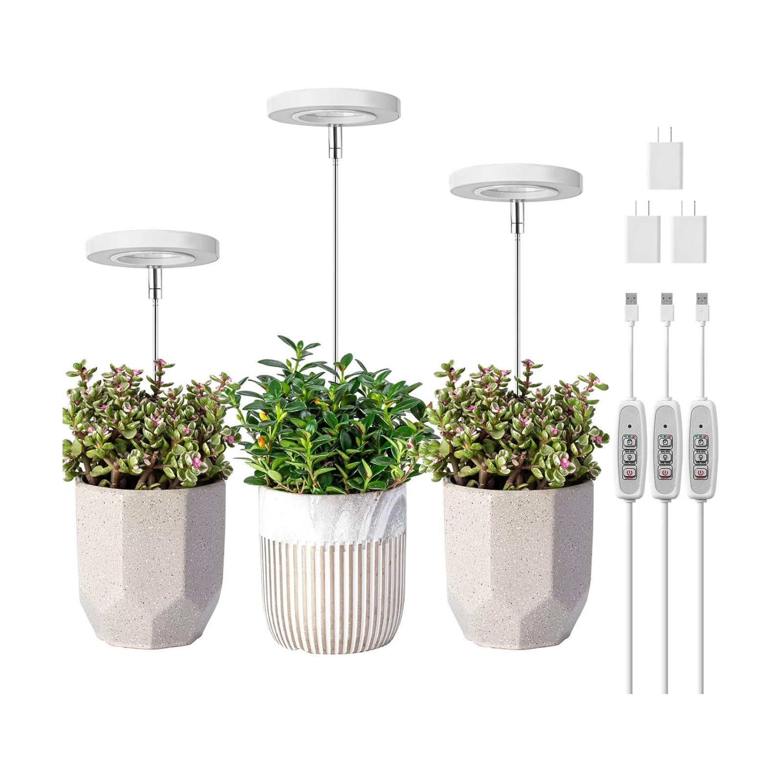 LORDEM Full Spectrum LED Grow Light for Indoor Plants, 3 Packs | Height Adjustable, Auto On/Off Timer 4/8/12H, 4