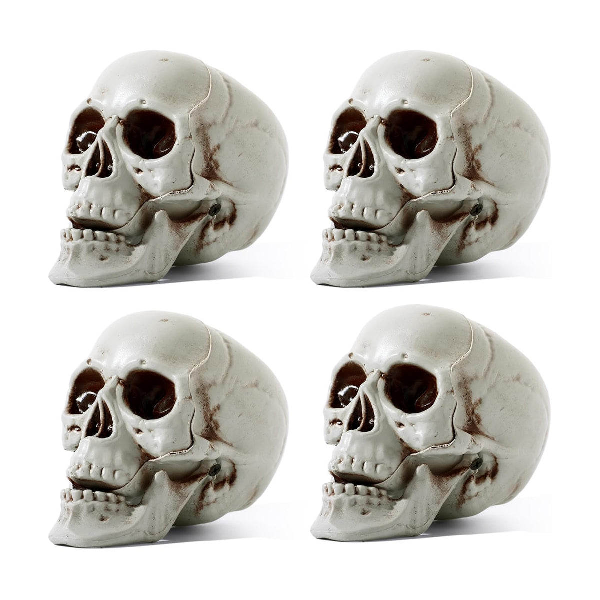 Sratte 4 Pcs Halloween Plastic Skull Human Skeleton Model,5.1 Inch