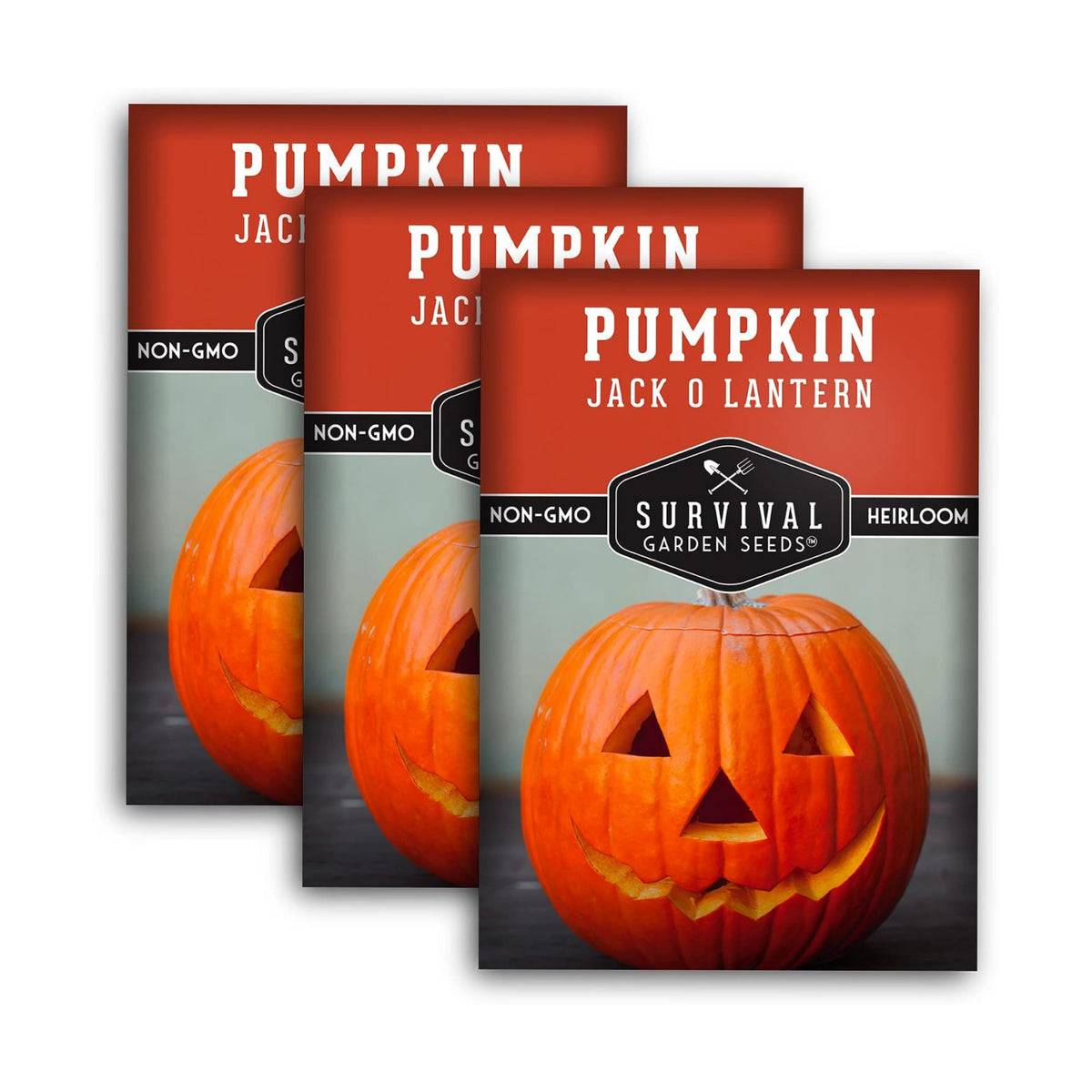 Jack O' Lantern Pumpkin Seeds for Planting - 3 Packs
