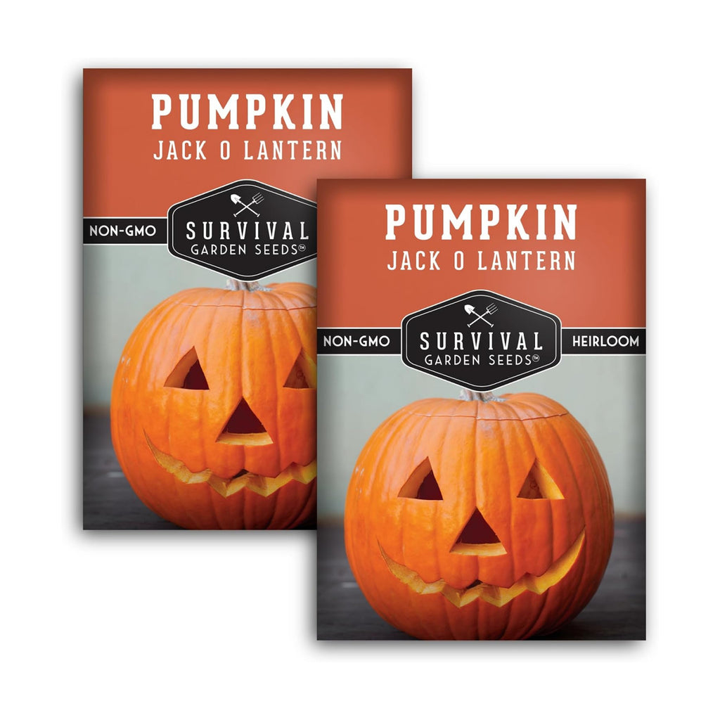 Jack O' Lantern Pumpkin Seeds for Planting - 2 Packs